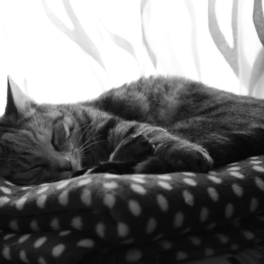 Abend